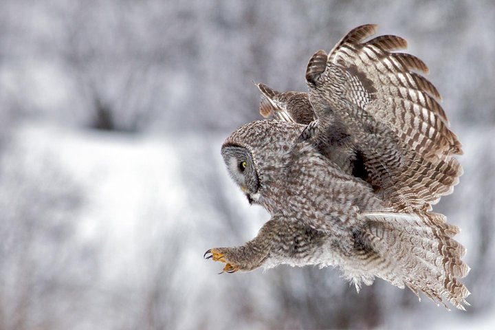  Photo by Daryl Hunter